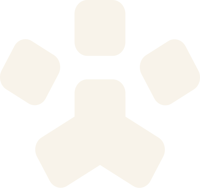 今年会·(jinnianhui)金字招牌宠物，无处不在