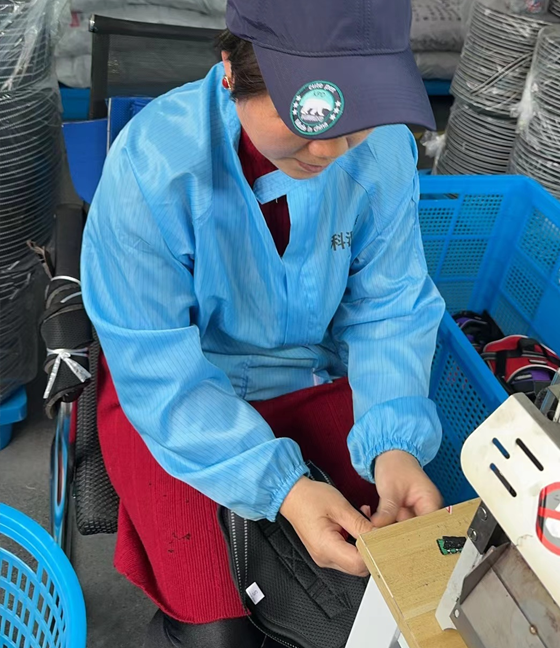 今年会·(jinnianhui)金字招牌宠物，无处不在