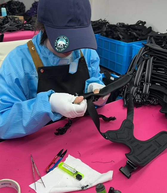 今年会·(jinnianhui)金字招牌宠物，无处不在