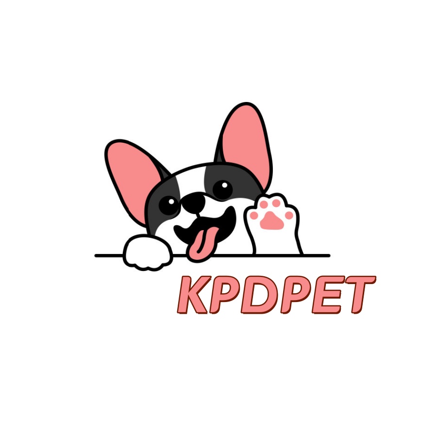 今年会·(jinnianhui)金字招牌宠物，无处不在